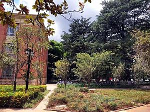Kunming - Universite du Yunnan (51)